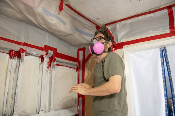 Best Real Estate Mold Inspection  in New Bern, NC