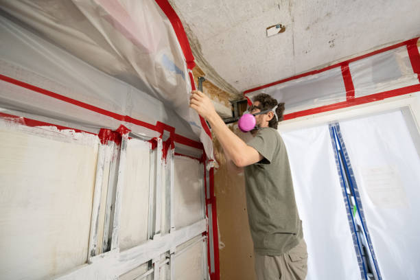 Forensic Mold Investigation in New Bern, NC
