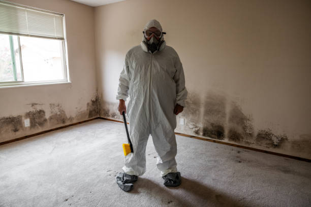 Best Comprehensive Air Testing for Mold Contaminants  in New Bern, NC